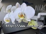 Панацея, медичний центр фото