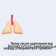 Myhelix, індивідуальні рекомендації по аналізу ДНК фото