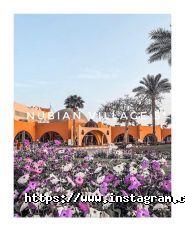 Перший Пілот, туристична компанія фото