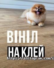 Wenge, магазин ламінату і паркету фото