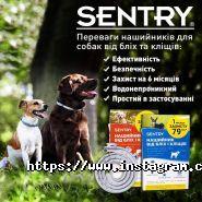 Zoobonus, інтернет-зоомагазин фото