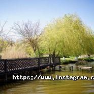 Марина, база відпочинку фото