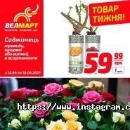 Велмарт, супермаркет фото