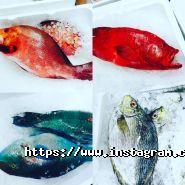 Azuma, ресторан фото