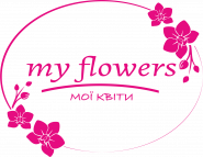 My Flowers, магазин цветов фото