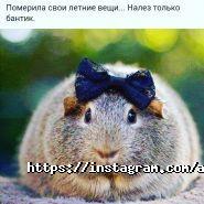 Астана Дезинфекция фото