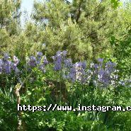 Сахалін, готельно-розважальний комплекс фото