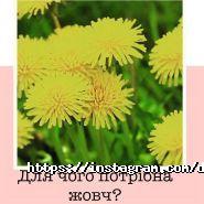 Тетяна Батин, дієтолог-нутриціолог фото