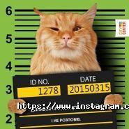 CityCenter, торговий центр фото