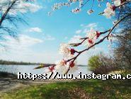 Металіст, база відпочинку фото