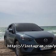 Pro_Service, автомобільна майстерня фото