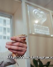 ZooLux, ветеринарна клініка фото