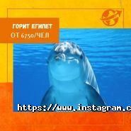 Бамба, туристична компанія фото