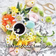 Сем, курси англійської мови фото