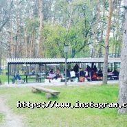 Сосновий Бір, база відпочинку фото