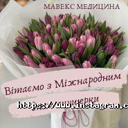 Мавекс-Медицина, медичний центр фото