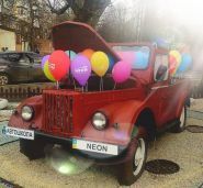 NEON, автошкола фото