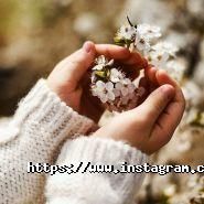 RealLife, фотостудія фото