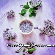 Сем, курси англійської мови фото