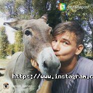 Металіст, база відпочинку фото