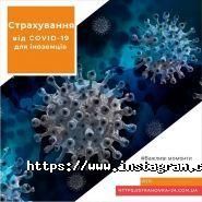 Страховка-24, онлайн-магазин фото