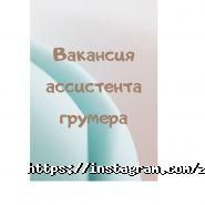 Дама з собачкою, зоосалон фото