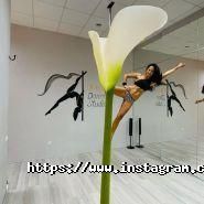 Orange Dance Studio, студія танцю фото