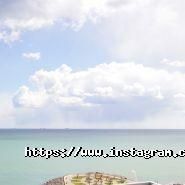 Сосновий берег, агентства нерухомості фото