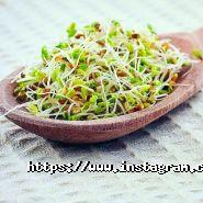 Брусничка, супермаркет фото