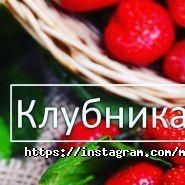 Madam Soapy, магазин товарів для миловаріння фото