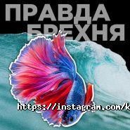 Комп'ютерний Всесвіт, ІТ–магазин фото