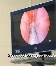 Virtus, клініка пластичної хірургії фото