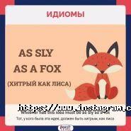 Next Level, школа иностранных языков фото