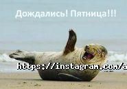 Амбар, паб фото