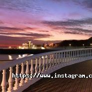 Сосновий берег, агентства нерухомості фото
