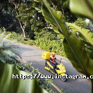 Dhl, курьерская служба фото