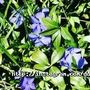 Рада України з питань телебачення і радіомовлення фото