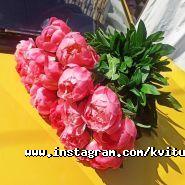 Магазин квітів на Горської фото