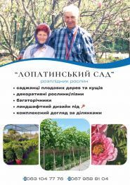 Лопатинский сад, реализация саженцев фото