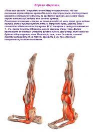 Fit Curves, фітнес-клуб фото