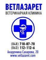 Ветлазарет, центр ветеринарних послуг фото