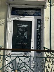 Вуса, лапи, хвіст, ветеринарна клініка фото