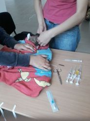 Альма, ветеринарна допомога фото