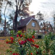 Kohavi Forest Club, готель-ресторан фото