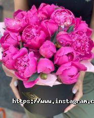 Send Flowers, доставка цветов фото