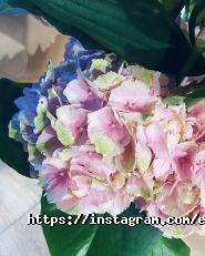 Everyday spring, квіткове ательє фото