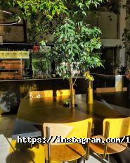 1900, мережа кав'ярень фото