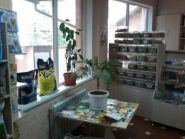 Гарфілд, зоомагазин фото