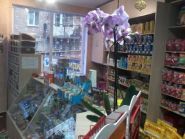 Гарфілд, зоомагазин фото