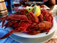 Гамбрінус, пивний будинок фото